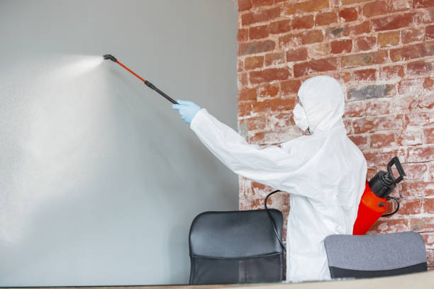 Best Mold Damage Restoration  in Lompoc, CA