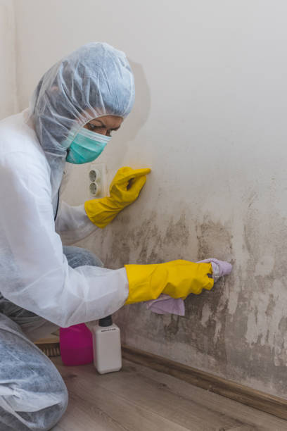 Best Mold Remediation for Healthcare Facilities  in Lompoc, CA