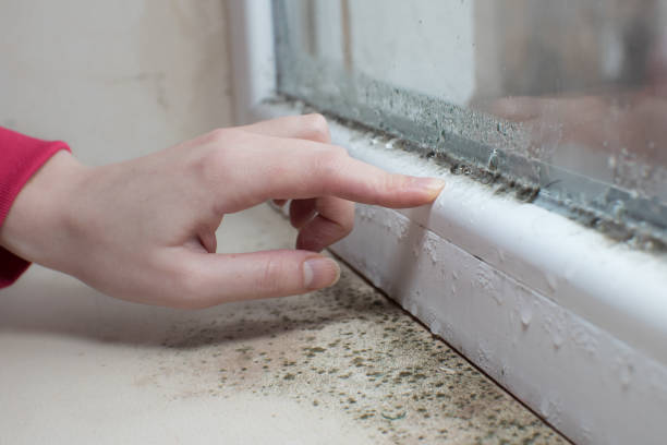 Best Real Estate Mold Inspection  in Lompoc, CA